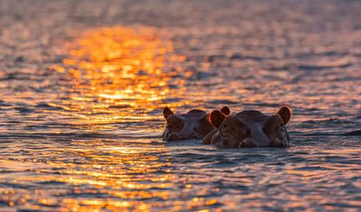 Magic of Nyerere and Mikumi National Parks - Image - 2847